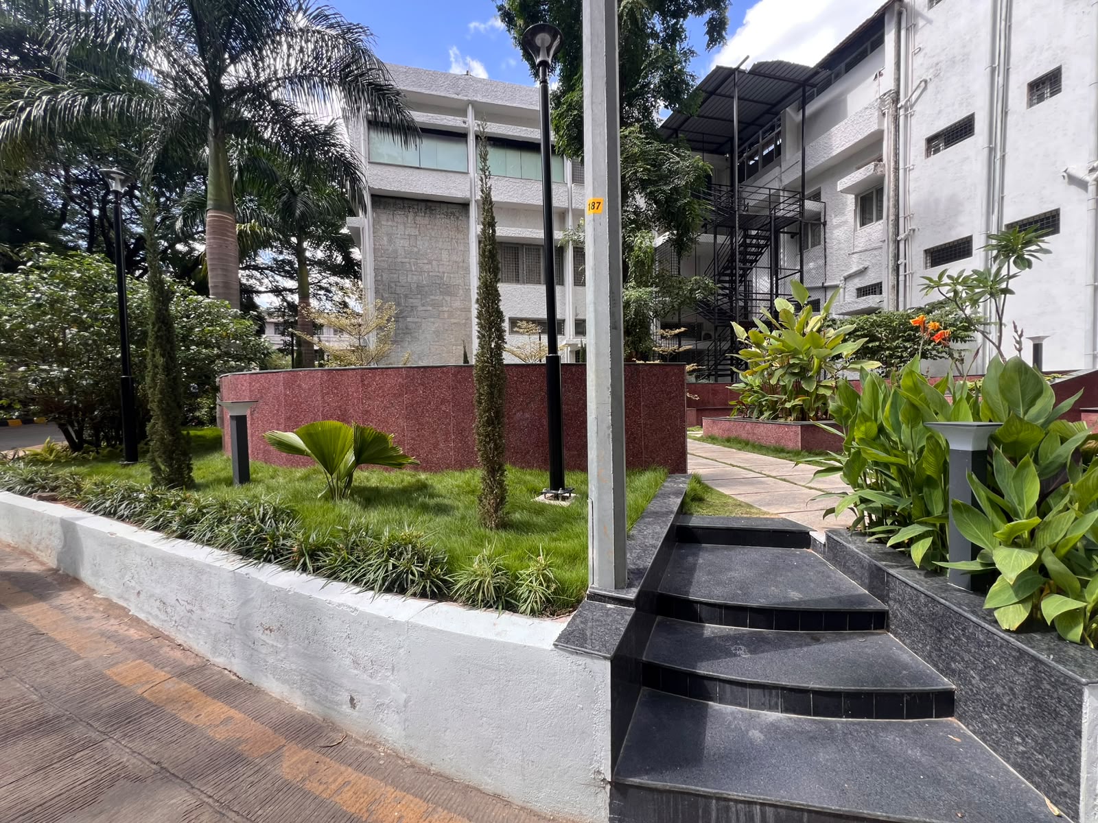 Flowering ixora shrubs lining the planter edge