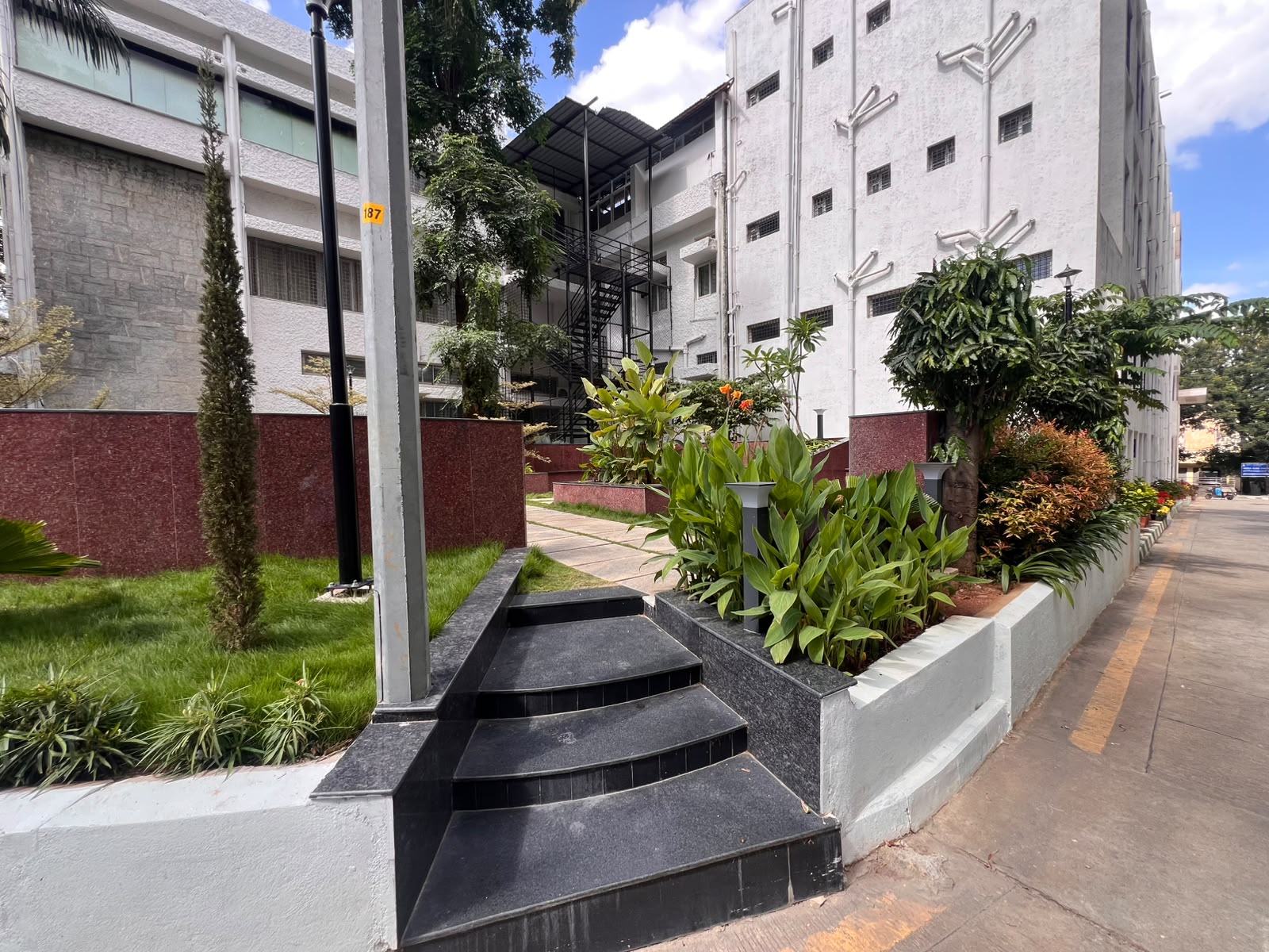 Ferns and variegated tree in a raised granite planter