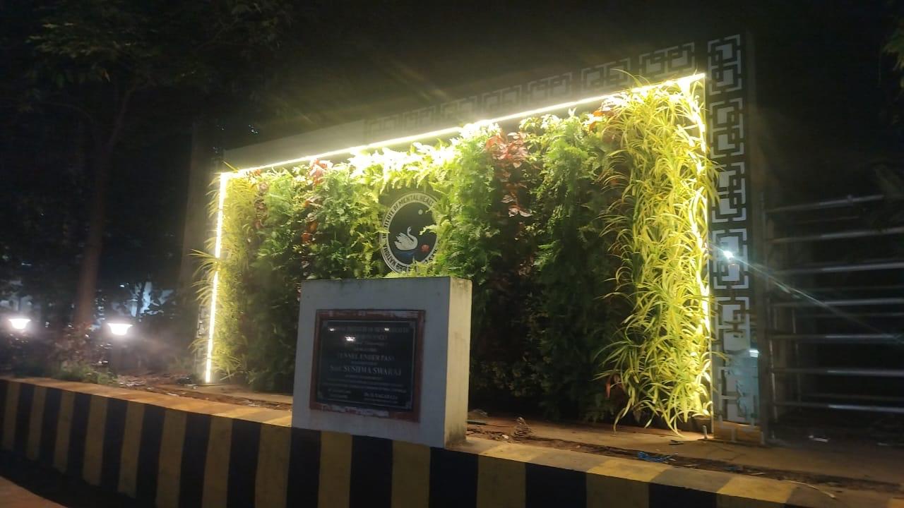 Accessible pathway with permeable paving