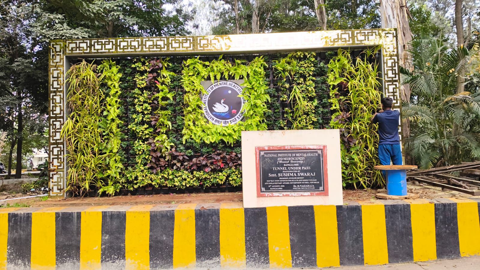 Rain garden and water infiltration feature
